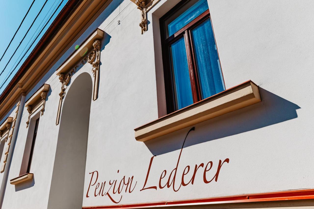 Penzion Lederer Dolní Dunajovice Εξωτερικό φωτογραφία